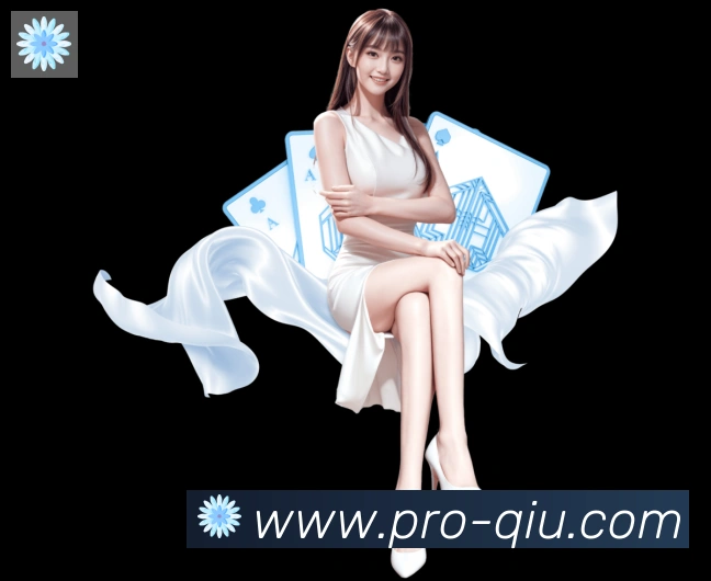 未来规划